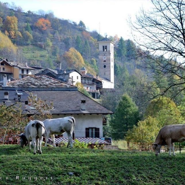 カステルデルフィーノ Agriturismo Il Mulino Delle Fucineヴィラ エクステリア 写真
